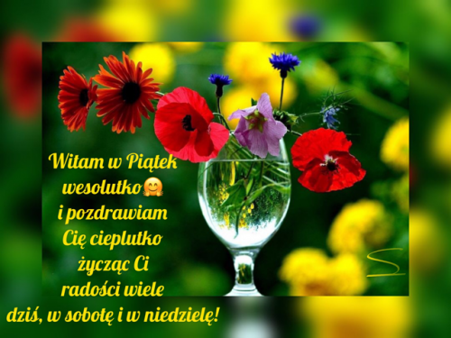 Kwiatuszki w kieliszku pozdrawiają w piątek